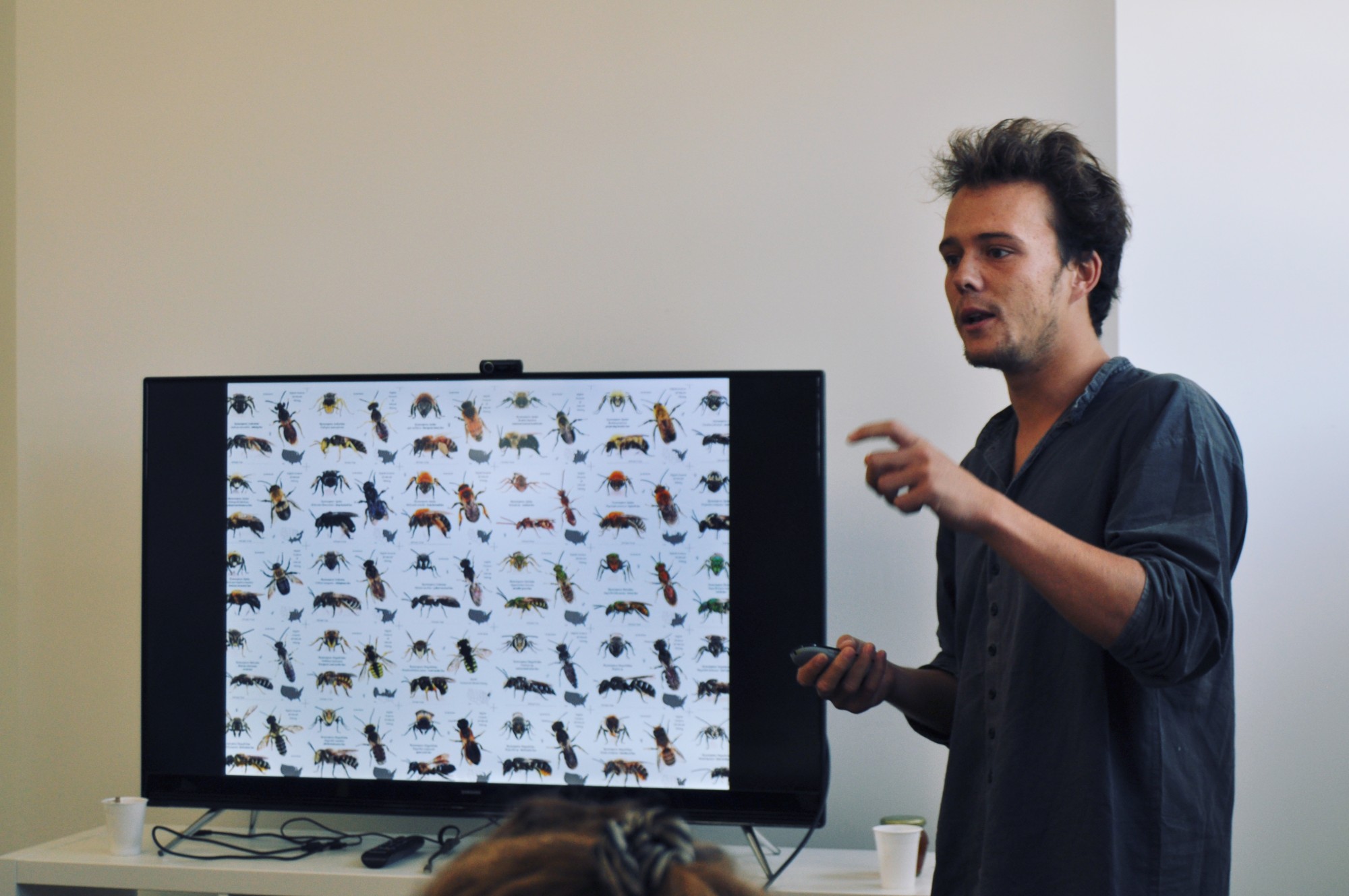 A student presents his project next to a screen showing dozens of bee species